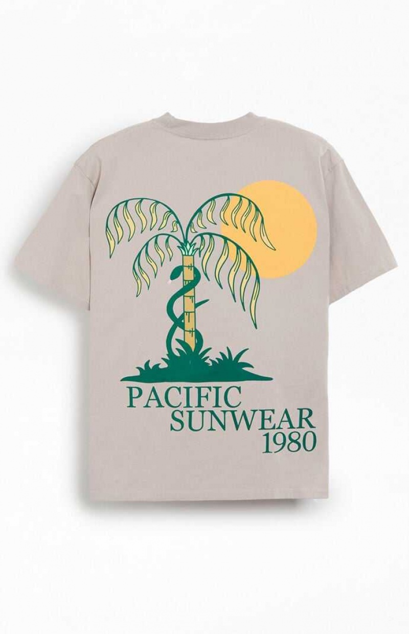 T-shirt PacSun Pacific Sunwear Palms Homme Blanche | 873921XTQ