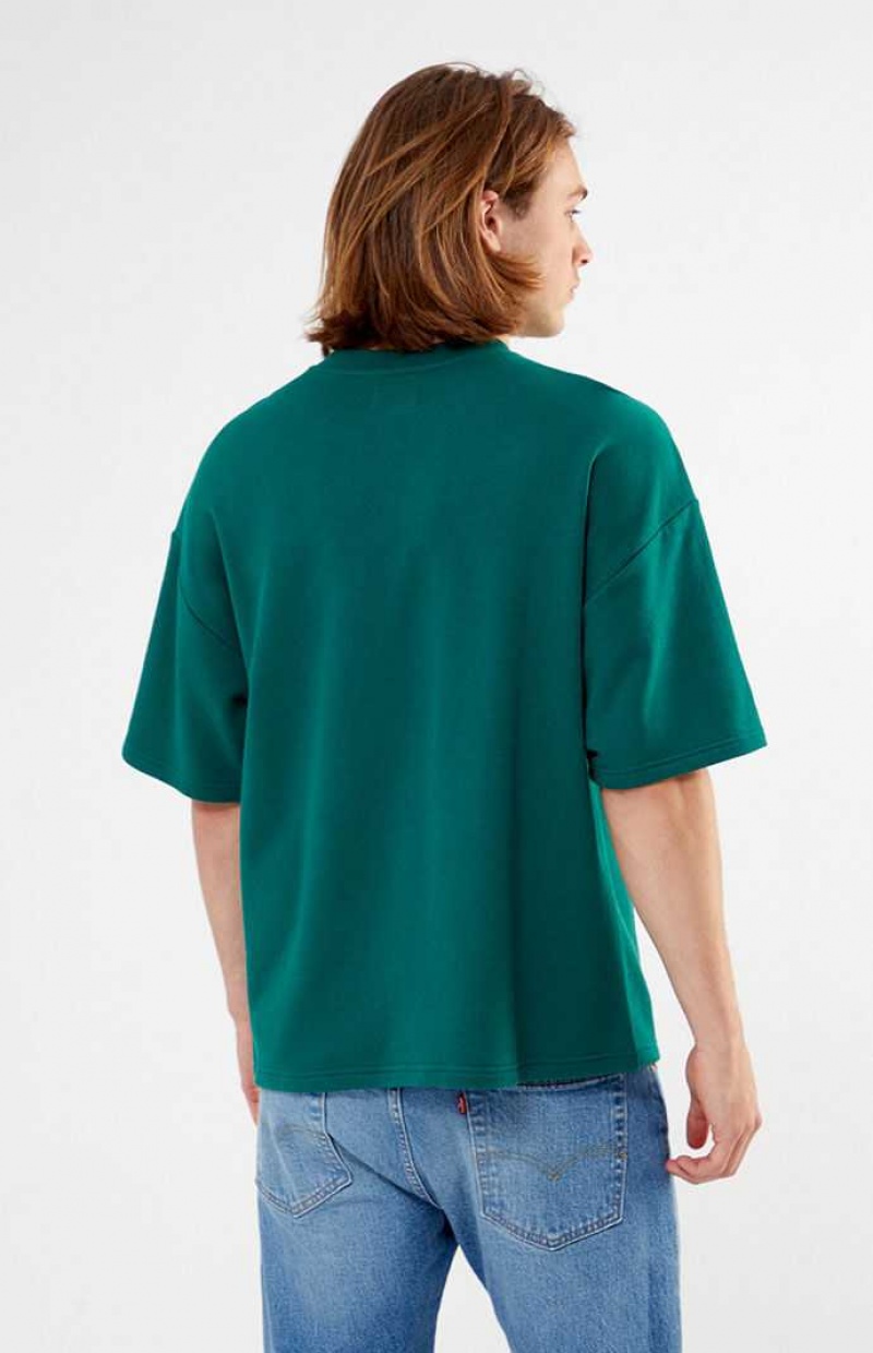 T-shirt PacSun Pine Dive Fleece Homme Vert Foncé | 257198QBC