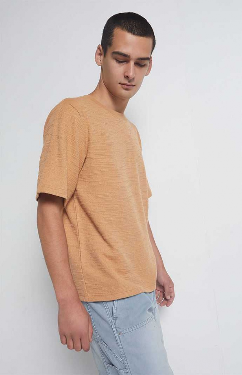 T-shirt PacSun Tan Scout Texture Homme Marron | 912586XWT